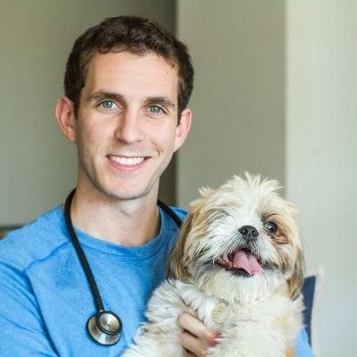 Dr. Alex Schechter, DVM