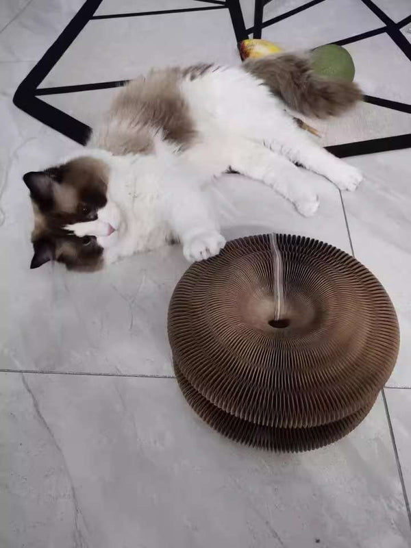 Customer testimonial