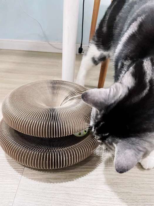 Customer testimonial