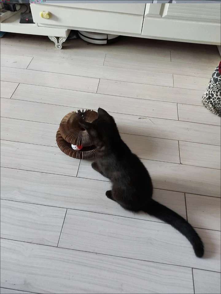 Customer testimonial