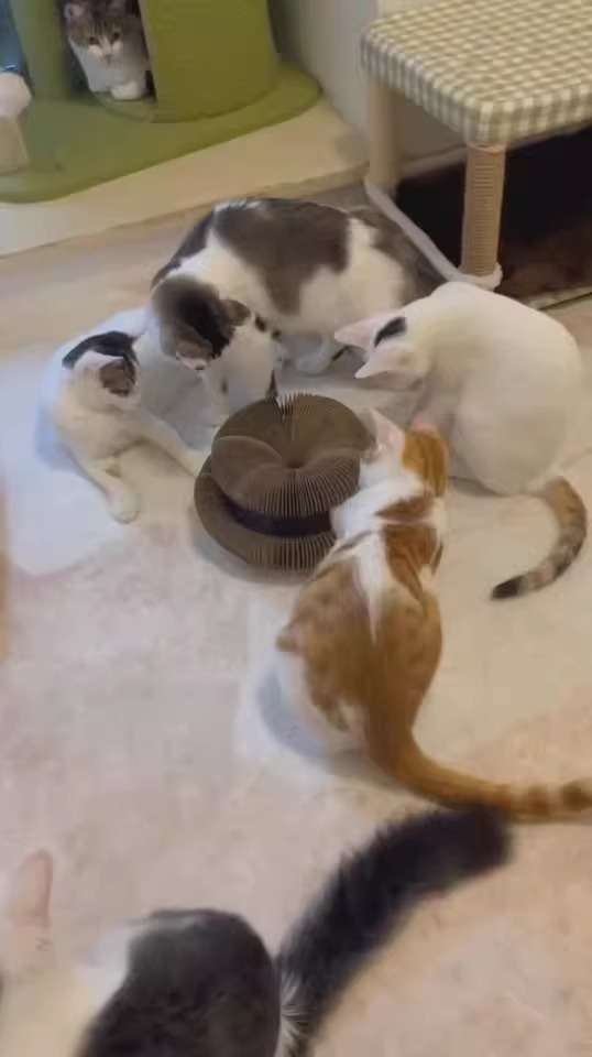 Customer testimonial