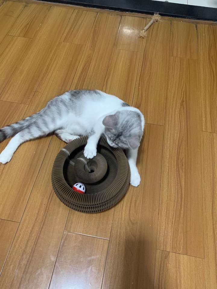 Customer testimonial