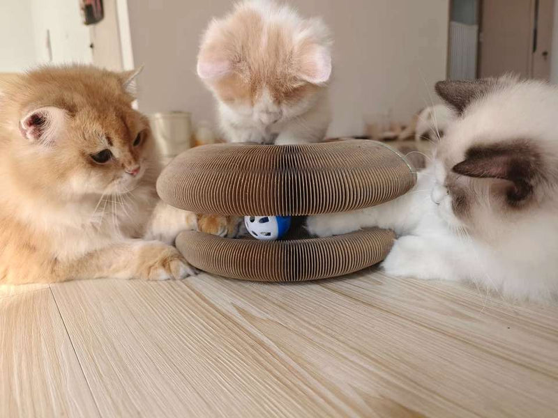 Customer testimonial