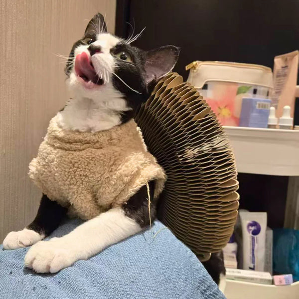 Customer testimonial