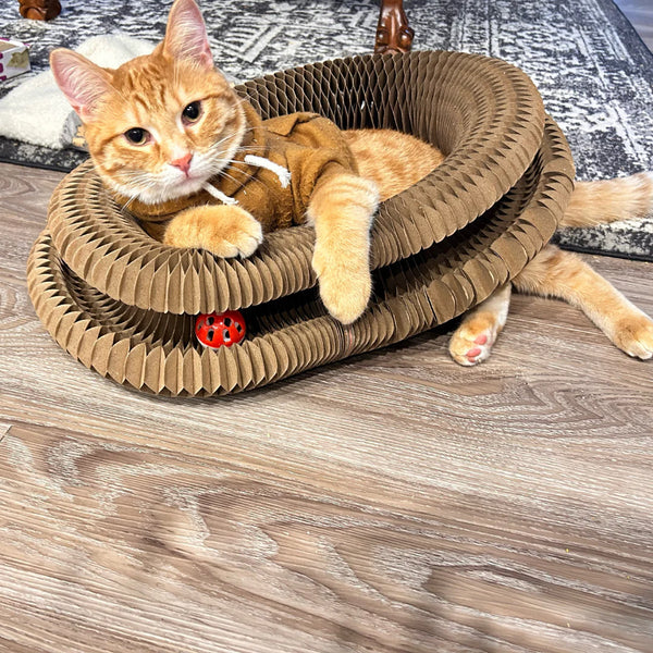 Customer testimonial