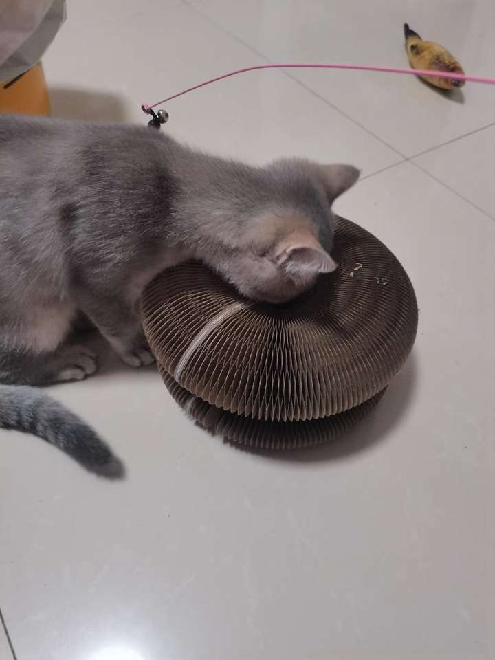 Customer testimonial