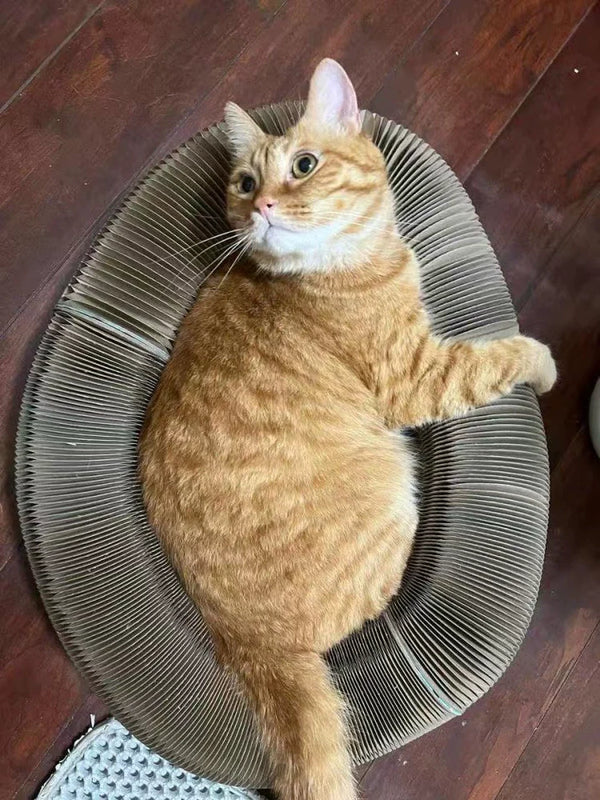 Customer testimonial