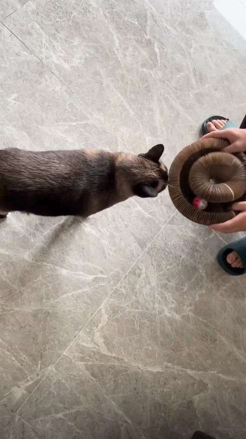 Customer testimonial