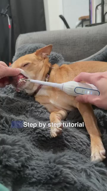 Canivet Kit - Silent Sonic Plaque & Tartar Remover for dogs